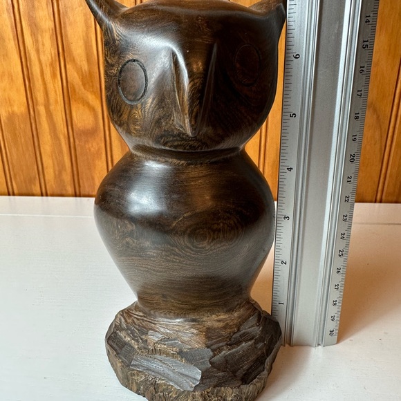 Wood Owl - Picture 7 of 8